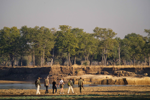 South Luangwa National Park