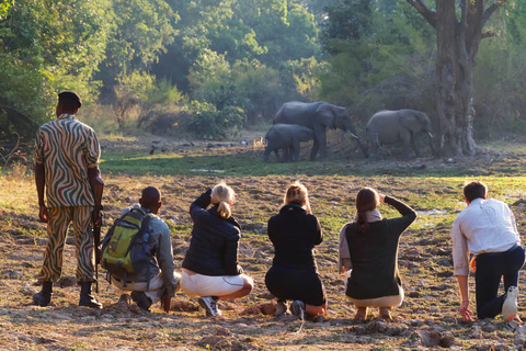 South Luangwa National Park