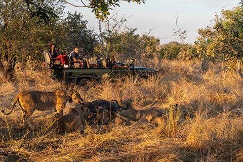 South Luangwa National Park