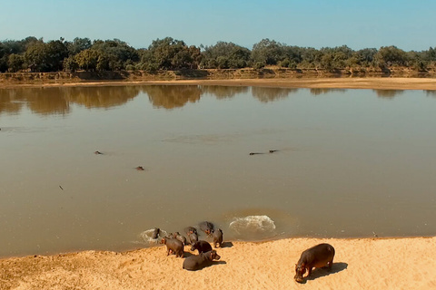 Lusaka - Parc national de Luangwa Sud