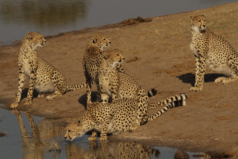 Victoria Falls - Parc national de Hwange