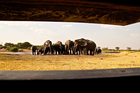 Parc national de Hwange