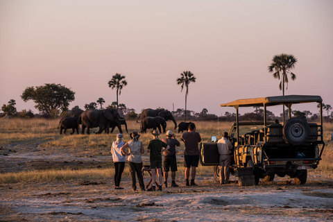 Victoria Falls - Parc national de Hwange