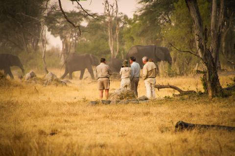 Parc national de Hwange