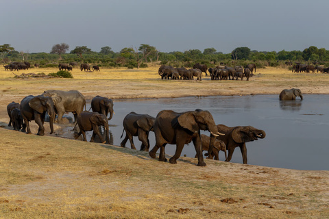 Victoria Falls - Hwange National Park