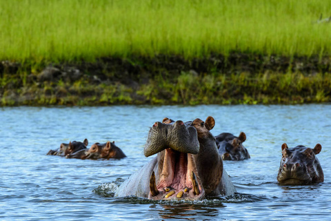 Lac Kariba