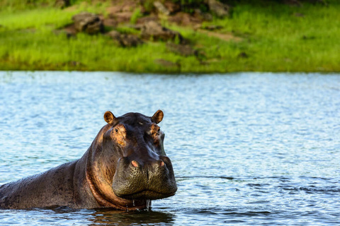 Mana Pools - Lac Kariba Houseboat