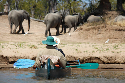 Mana Pools (canoë)