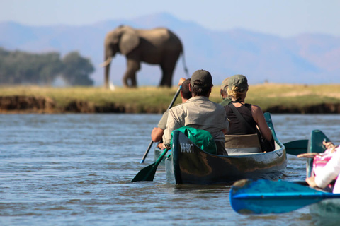 Mana Pools (Canoë)