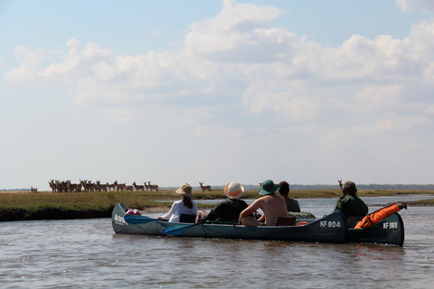 Lusaka - Mana Pools - Canoë