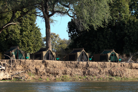 Camp Zambezi