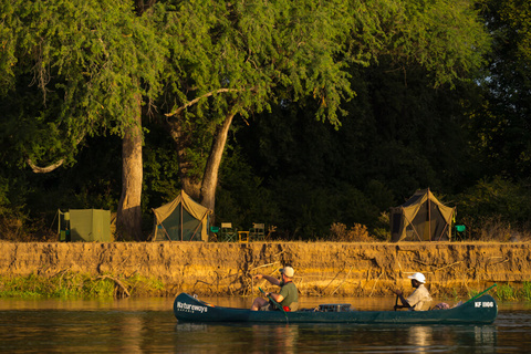 Camp Zambezi