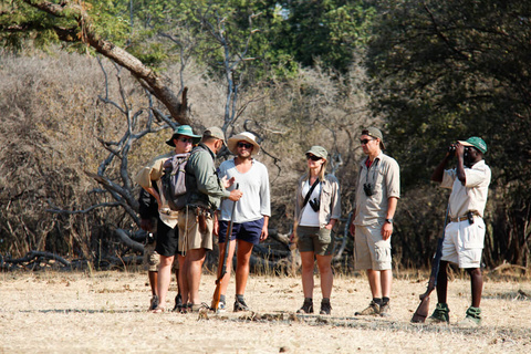 Harare - Mana Pools - Camp Zambezi (A pied)