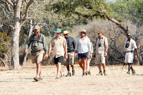 Mana pools - Camp Zambezi - (A pied)