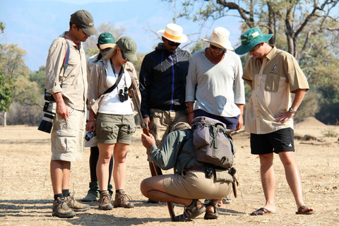 Mana pools - Camp Zambezi (A pied)