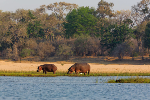 Harare - Mana Pools - Camp Zambezi (A pied)