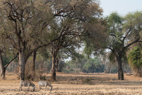 Transfert Mana Main Airstrip - Kariba et Lusaka