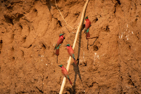 Hwange National Park - Mana Pools