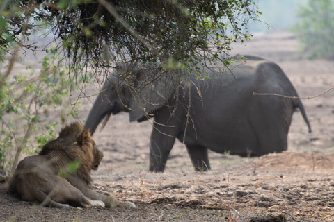 Hwange National Park