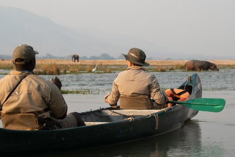 Mana Pools - Canoë