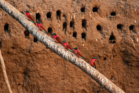 Mana Pools (canoë)