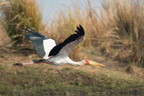 Mana Pools (canoë)