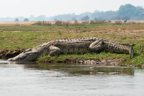 Lower Zambezi