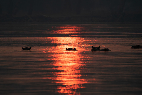 South Luangwa