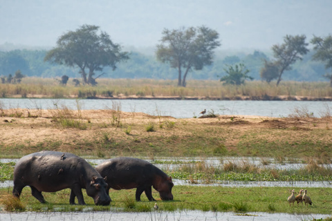 Camp Zambezi - Mana Shoreline - (Canoë)