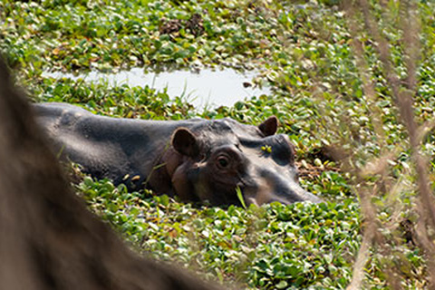 South Luangwa -  Lusaka - Vol retour