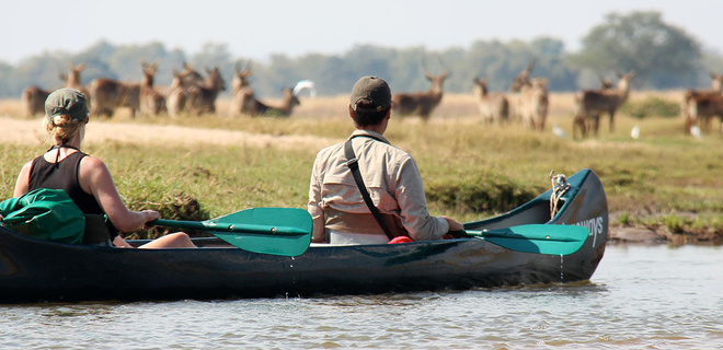 Safari à pied & Canoë sur le Zambèze