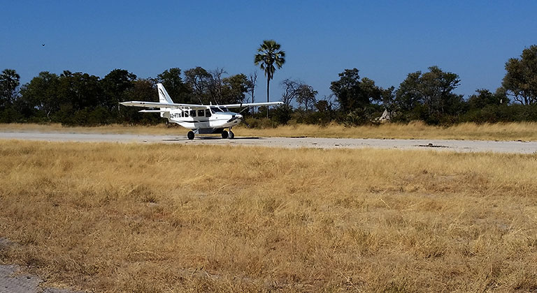 Vous partez en safari en Afrique, préparez-vous !