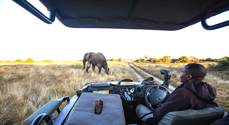 Comment choisir son safari au Botswana ?