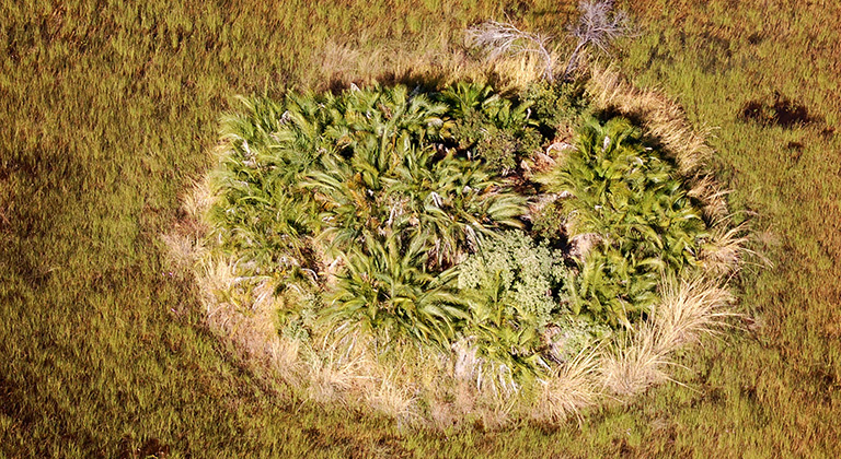 La Magie du Delta de l'Okavango