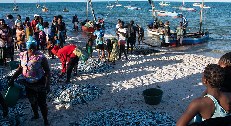 Retour de pêche à Vilanculos