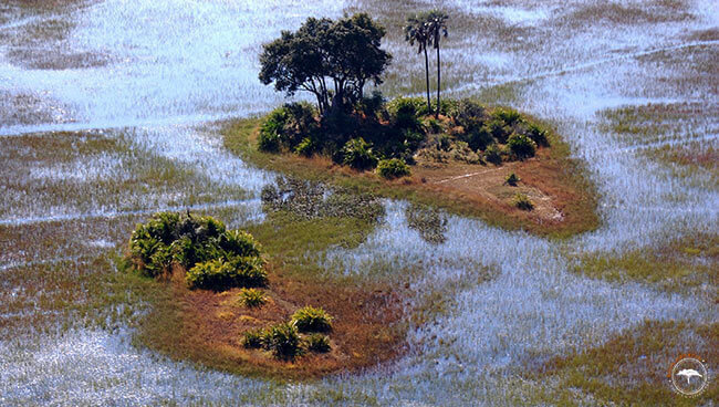 Survol du delta de l'Okavango au Botswana @Sous l'Acacia