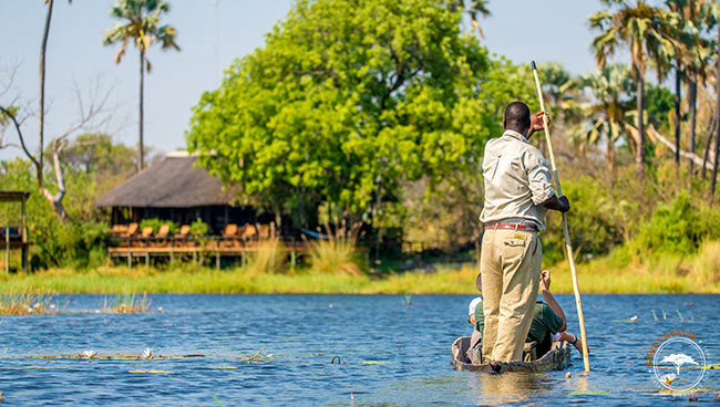 Safari en bateau au Botswana @Sous l'Acacia