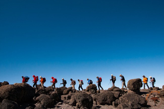 Trekkeurs sur le Kilimandjaro @Sous l'Acacia