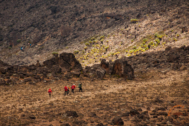 En route vers le Kilimandjaro @Sous l'Acacia