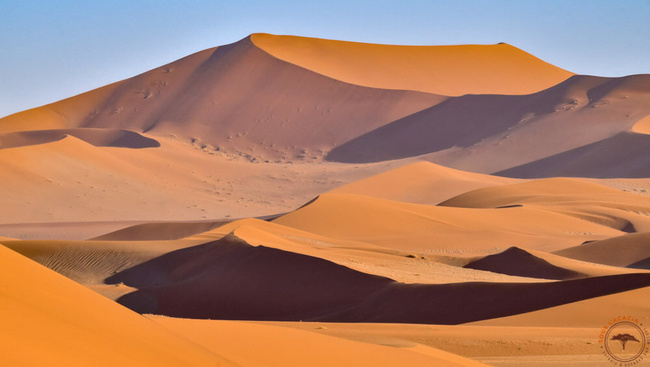 Dunes du Namib ©Sous l'Acacia