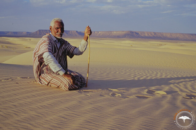 Nomade dans le désert mauritanien @Sous l'Acacia