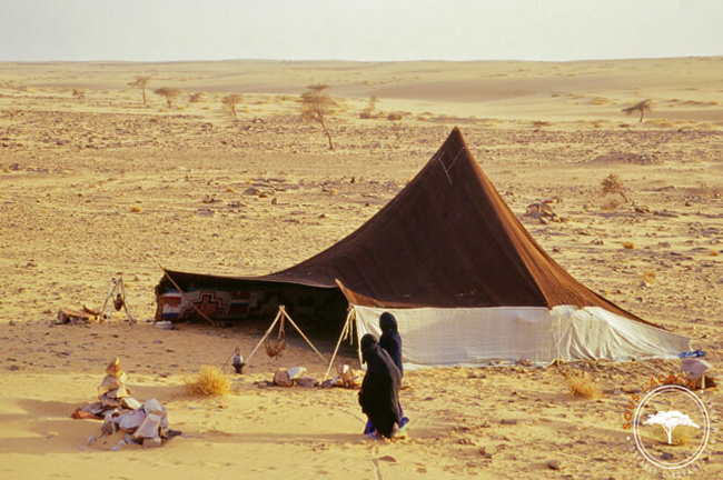 Campement de nomades en Mauritanie @Sous l'Acacia