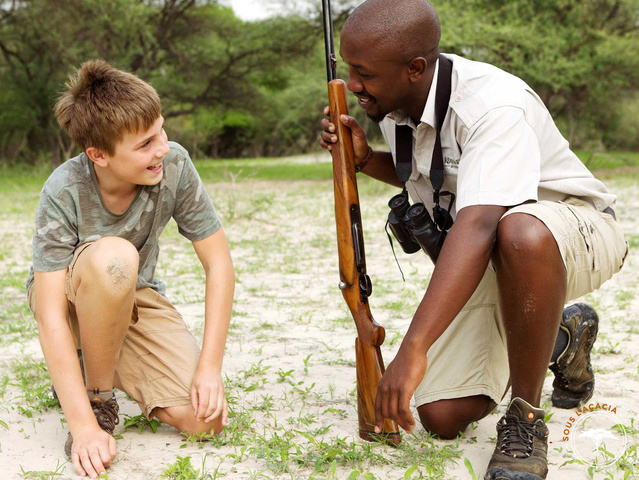 Observation animale lors d'un safari en Afrique @Sous l'Acacia