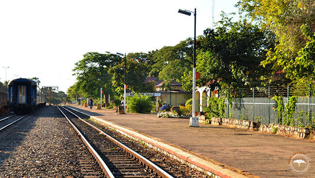 À Victoria Falls, la gare est devenue une attraction touristique @Sous l'Acacia