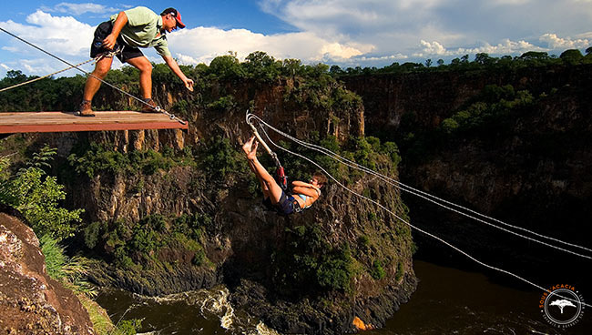 Saut à l'élastique au dessus du Zambèze au Zimbabwe @Sous l'Acacia