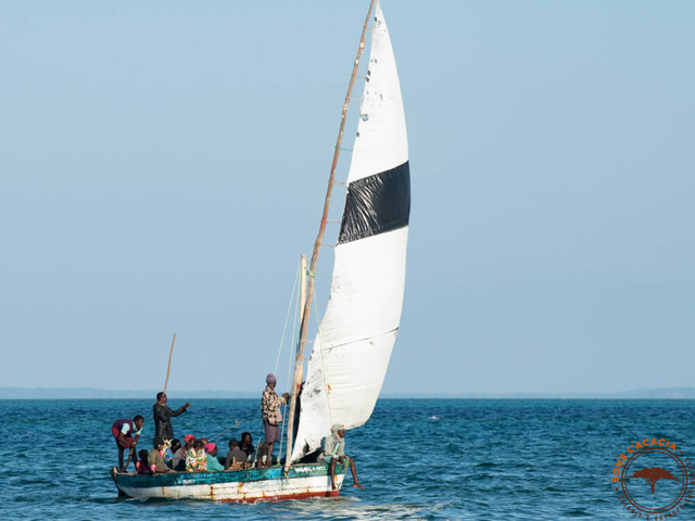 L'arrivée d'un bateau @Sous l'Acacia