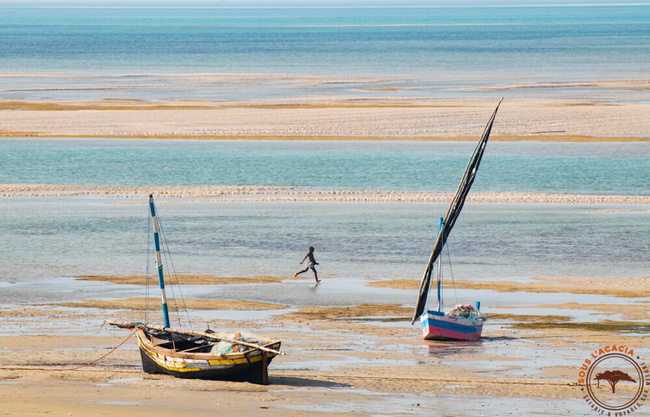 La plage à marée basse @Sous l'Acacia