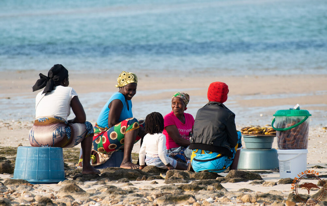 En attendant les bateaux de pêche @Sous l'Acacia