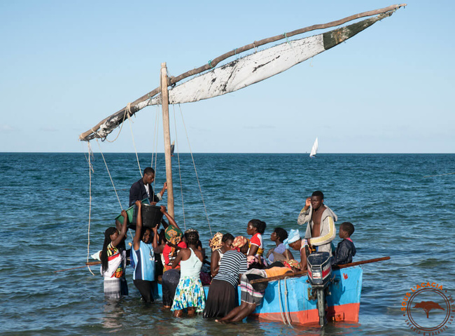 Décahrgement des bateaux de pêche @Sous l'Acacia
