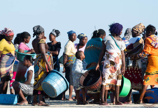 Femmes en attente du poisson avec leurs bassins @Sous l'Acacia